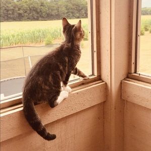 Meet your Posher, Mallory